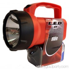 Dorcy 41-2081 Floating Waterproof LED Flashlight Lantern, 35-Lumens, Assorted Colors 554984320